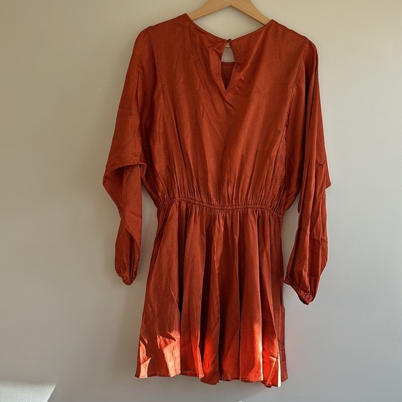 New With Tags Anthropologie Caballero Long-Sleeve Satin Animal Print Mini Dress - Picture 8 of 8
